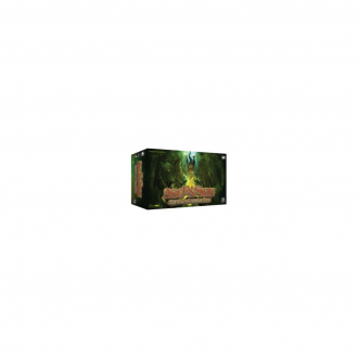 extrait jeux-de-societe Ascension - Gift of Elements