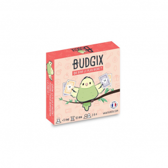 extrait jeux-de-societe Budgix
