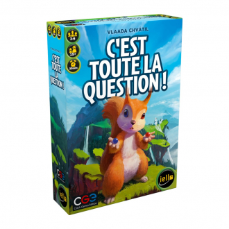 extrait jeux-de-societe C'est toute la question !