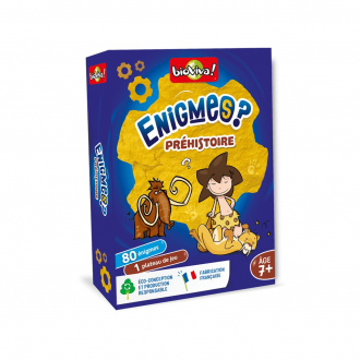 extrait jeux-de-societe Enigmes - Préhistoire