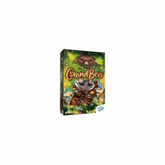 extrait jeux-de-societe GrandBois
