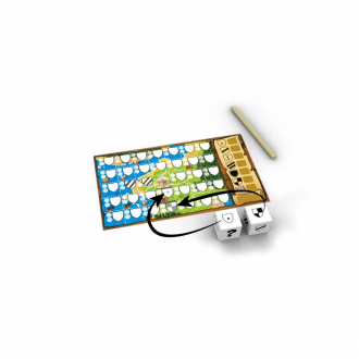 extrait jeux-de-societe Kingdomino Duel