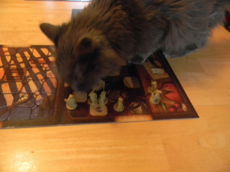 Mice and Mystics