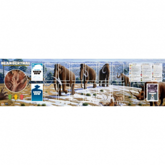 extrait jeux-de-societe Neanderthal/Greenland Folding Board