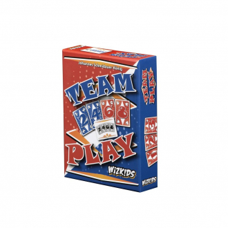 extrait jeux-de-societe Team Play