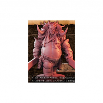 extrait jeux-de-societe Village Attacks : The Troll