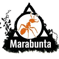 logo éditeur Marabunta