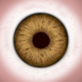couverture jeu vidéo 1,010+ Eye Tricks