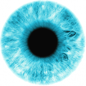 couverture jeu vidéo 1,100+ Amazing Eye Tricks