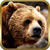 top 10 éditeur 2016 American Bear Hunter Pro Challenge Pro - African Safari Animal Sniper Shooting (Hunting Season)