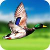 couverture jeu vidéo 2016 Duck Hunter ~ Safari Shoot Action games