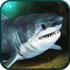 couverture jeu vidéo 2016 Hungry Shark Hunting Pro Underwater