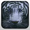 couverture jeu vidéo 2016 Wild Hunting Simulation 3D Adventure Pro