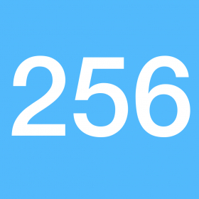 couverture jeu vidéo 256