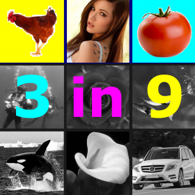 couverture jeu vidéo 3 in 9