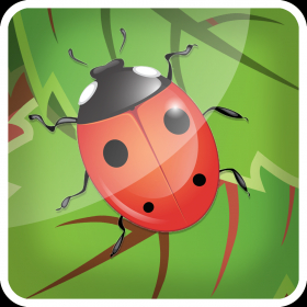 couverture jeu vidéo 3D Bug Farm Flick N Fling Game for Free