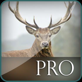 couverture jeu vidéo 3D Bullet Deer Hunting Big Game Juggle Défi Pro