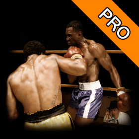 couverture jeu vidéo 3D Street Boxing Simulator 2 Pro