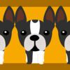 couverture jeu vidéo 4 Dogs - Le Jeu des 4 Chiens