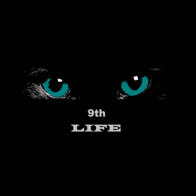 couverture jeu vidéo 9th Life