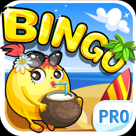 couverture jeu vidéo A Bingo Mania Pro