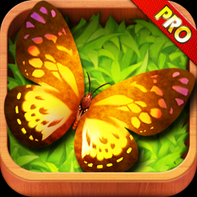 couverture jeu vidéo A Butterfly Farm HD Pro