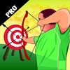 couverture jeux-video A Champion Archer PRO - Good Aim