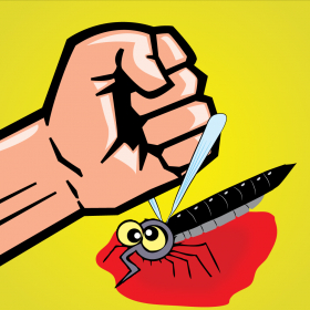 couverture jeu vidéo A Crazy Mosquito Smasher Game!