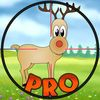 couverture jeu vidéo A Deer Hunter Amazing PRO - Hunting Fun