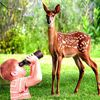 couverture jeu vidéo A Deer Hunter Amazon - Hunt in Deep Jungle