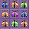 couverture jeu vidéo A Dotted Ladybugs Bolly