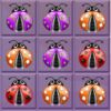 couverture jeu vidéo A Dotted Ladybugs Catch