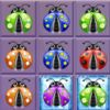couverture jeu vidéo A Dotted Ladybugs Combinator