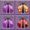 couverture jeu vidéo A Dotted Ladybugs Zoomer