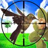 couverture jeu vidéo A Duck Hunter : Hunting Season Year