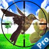 couverture jeu vidéo A Duck Hunter Pro : Hunting Season Year