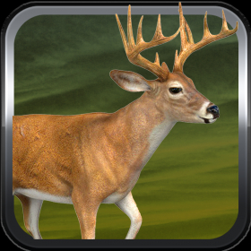 couverture jeu vidéo A Duck Life and Deer Beard Swamp Hunter 2014 - First Person Slingshot Shooter Dynasty Free