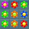 couverture jeu vidéo A Flower Power Catch