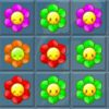 couverture jeu vidéo A Flower Power Comer