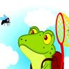 couverture jeu vidéo A Frog Hunter a Flies In The Sky