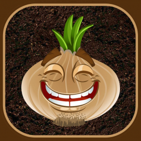 couverture jeu vidéo A game of Onions
