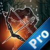 couverture jeu vidéo A Guardian Of The Arrow Treasure PRO - Fun Game Arrow