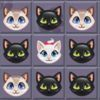 couverture jeux-video A Happy Kittens Darmy