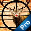 couverture jeu vidéo A Hunter Challenge Pro :Today is Deer Hunting 2016
