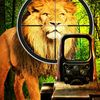 couverture jeu vidéo A Lion Safari:Stalk Prey Through Grassy Plains