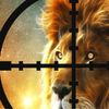 couverture jeu vidéo A Lion Ultimate: Hunt down prey to feed
