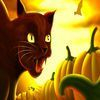 couverture jeu vidéo A Moster Halloween:Skills with pendants of the sun