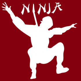 couverture jeu vidéo A Ninja Puzzle.