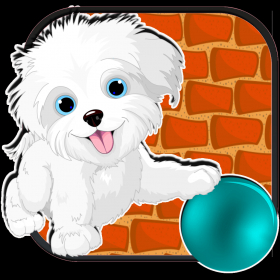couverture jeu vidéo A Petit Pup Yorkie - Yorkshire Terrier Game – Free version
