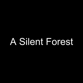 couverture jeu vidéo A Silent Forest